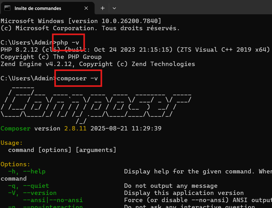Exemple php -v et composer -v